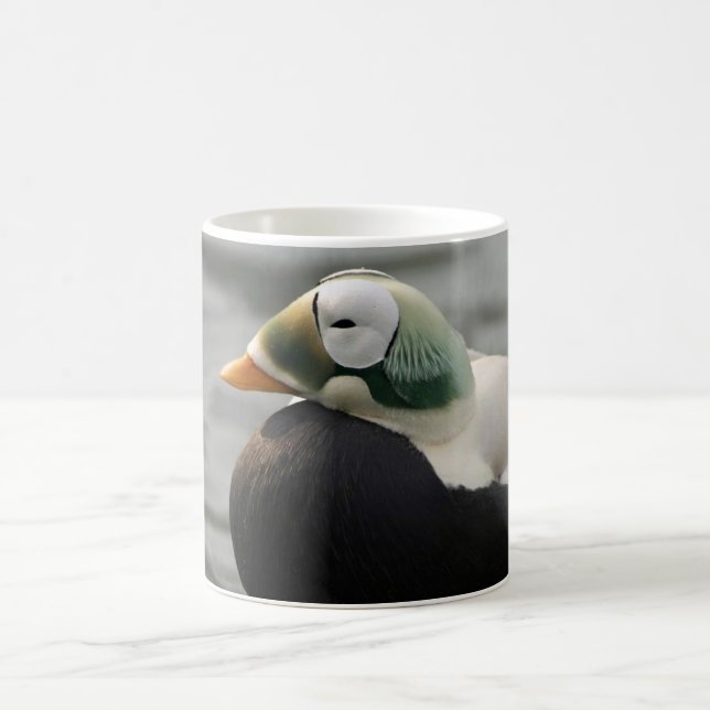 Spectacled Eider Coffee Mug (Center)