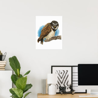 Spectacled Owl Art Print