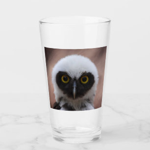 Spectacled Owl Glass