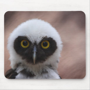 Spectacled Owl Mouse Mat