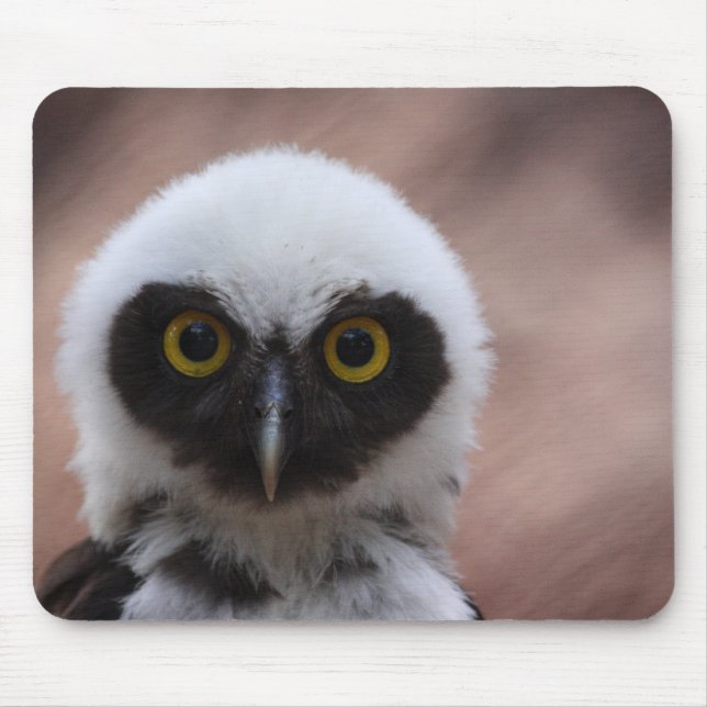 Spectacled Owl Mouse Mat (Front)