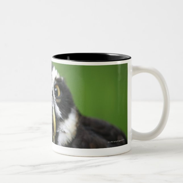 Spectacled Owl (Pulsatrix perspicillata) Two-Tone Coffee Mug (Right)