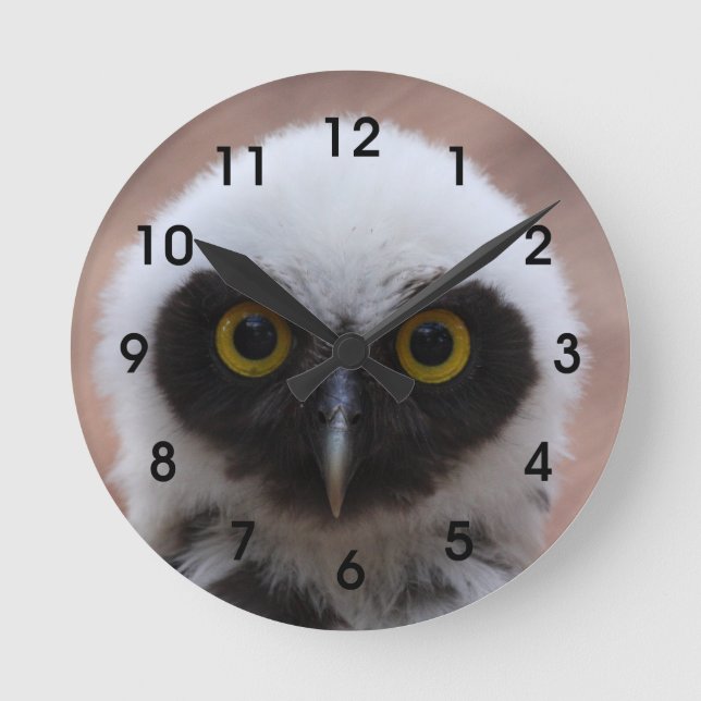 Spectacled Owl Round Clock (Front)