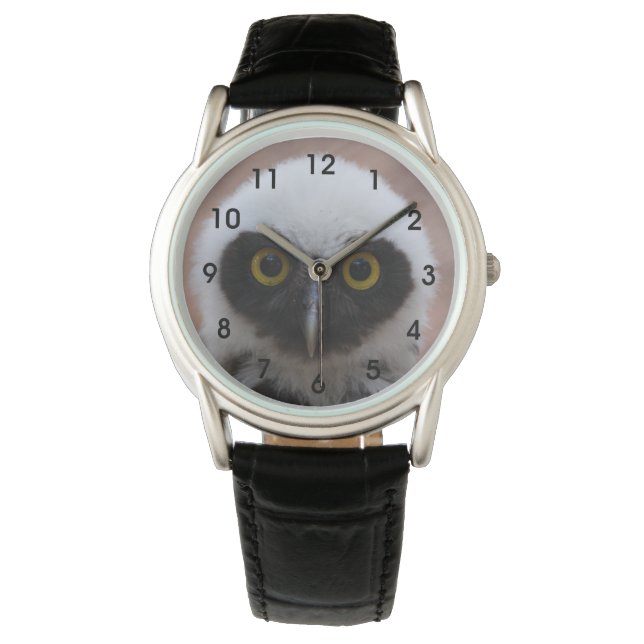 Spectacled Owl Watch (Front)
