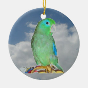 Spectacled Parrotlet Ceramic Tree Decoration