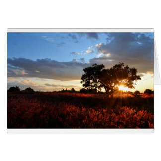 Spectacular African Sunset