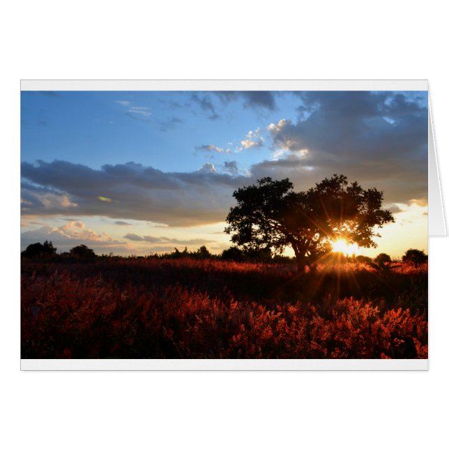 Spectacular African Sunset (Front Horizontal)