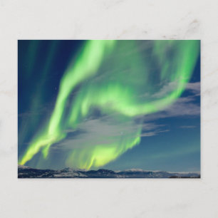 Spectacular Aurora borealis Northern Lights Postcard