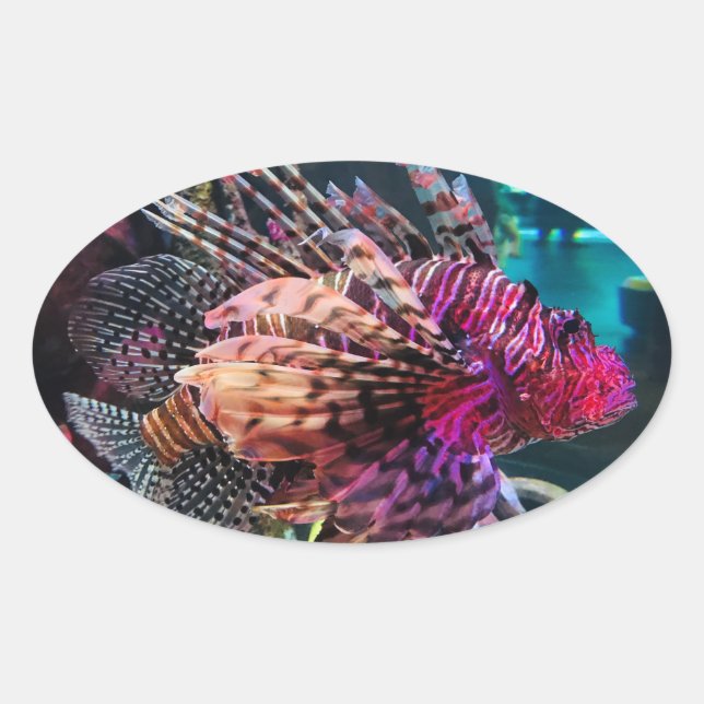 Spectacular Lionfish Oval Sticker (Front)