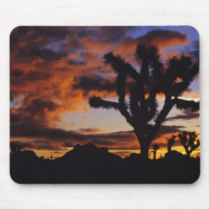 Spectacular Sunrise at Joshua Tree National Mouse Mat