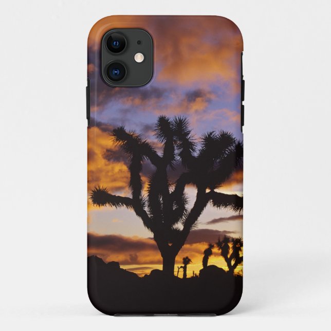 Spectacular Sunrise at Joshua Tree National Park Case-Mate iPhone Case (Back)