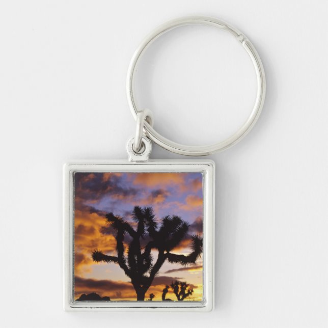 Spectacular Sunrise at Joshua Tree National Park Key Ring (Front)