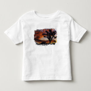 Spectacular Sunrise at Joshua Tree National Toddler T-Shirt