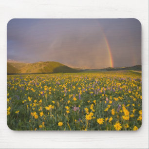 Spectacular wildflower meadow at sunrise in the 2 mouse mat