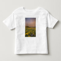 Spectacular wildflower meadow at sunrise in