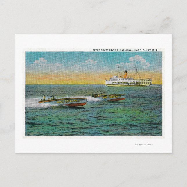 Speed Boating in Catalina Island, California Postcard (Front)