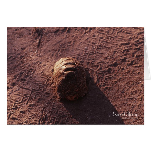 Speed Bump (Front Horizontal)