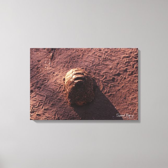 Speed Bump Canvas Print (Front)