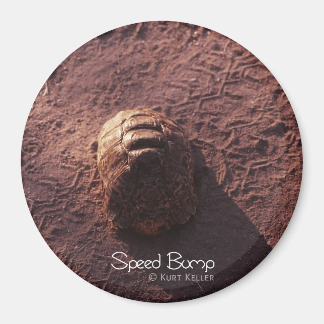 Speed Bump Magnet (Front)