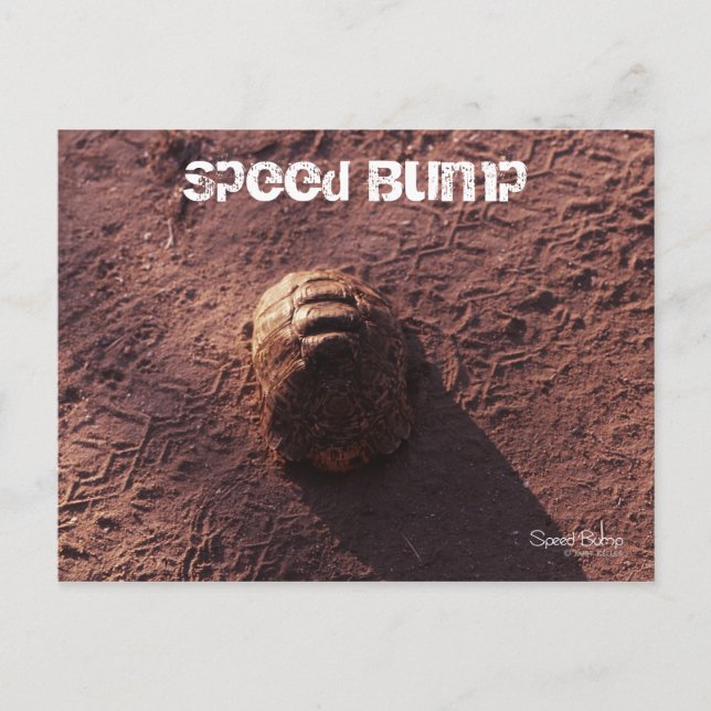 Speed Bump Postcard (Front)