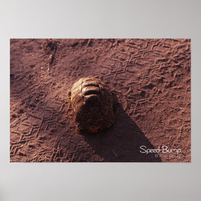 Speed Bump Poster (Front)