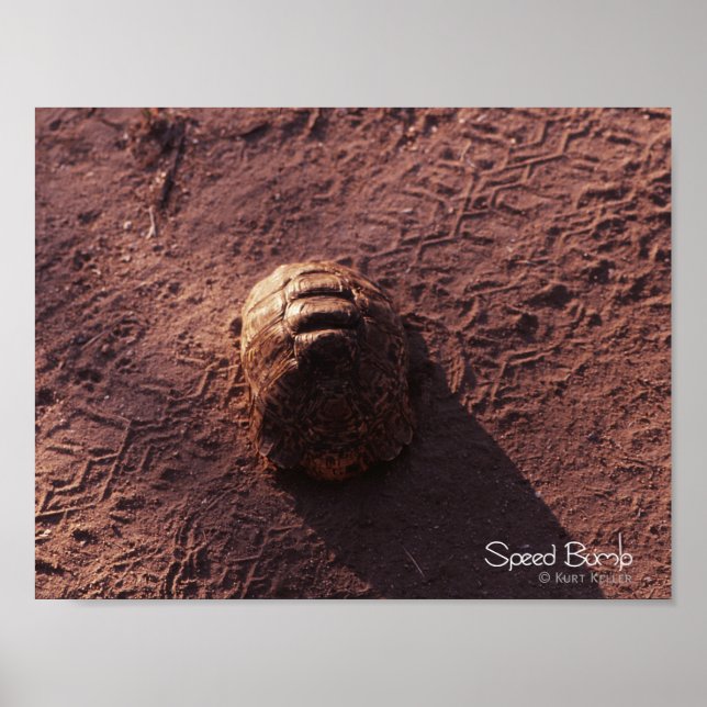 Speed Bump Poster (Front)