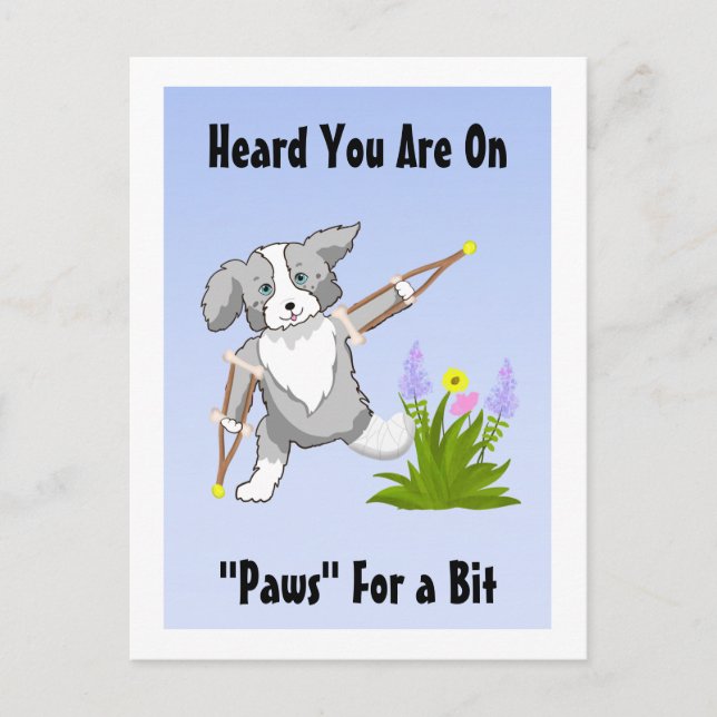 Speedy Recovery Collie on Crutches Postcard (Front)