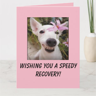 Speedy Recovery Dog with Flower Big Card