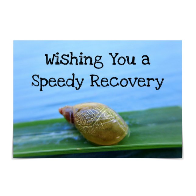 "Speedy Recovery" Get Better Soon Snail Card (Creator Uploaded)