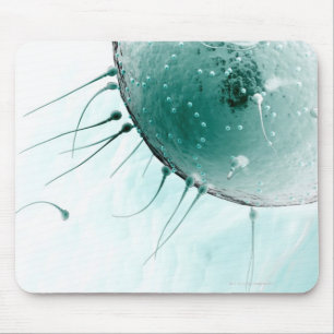 Sperm Fertilising an Ovum. Mouse Mat