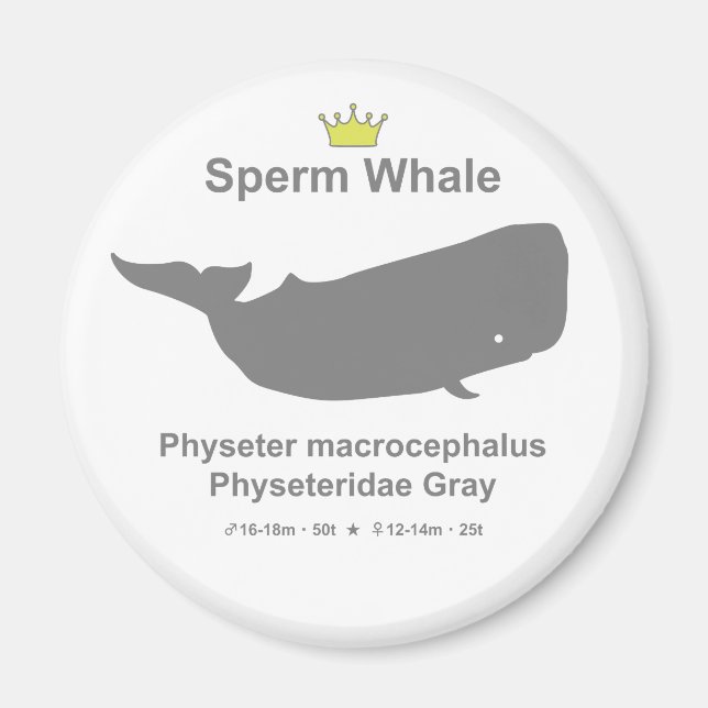 Sperm Whale g5 Magnet (Front)
