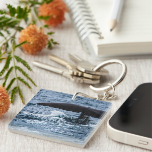 Sperm Whale Key Ring