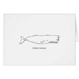 Sperm Whale (line art)