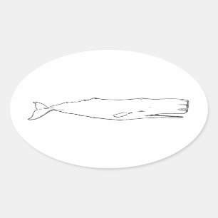 Sperm Whale (line art) Oval Sticker