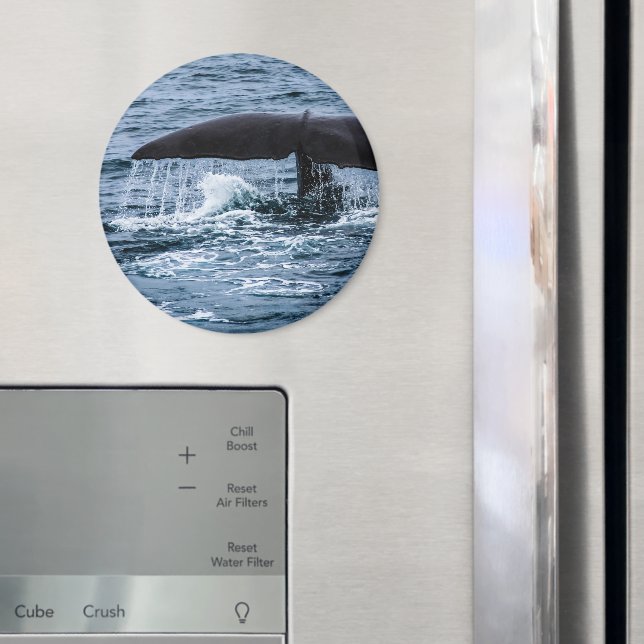 Sperm Whale Magnet (In Situ (Fridge))
