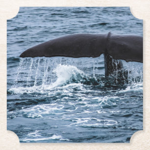 Sperm Whale Paper Coaster