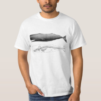 sperm whale T-Shirt