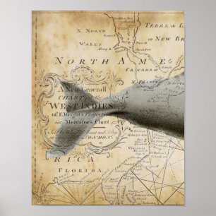 Sperm Whale Vintage Nautical Map Part1 Poster