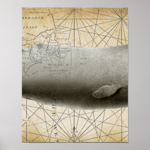 Sperm Whale Vintage Nautical Map Part2 Poster