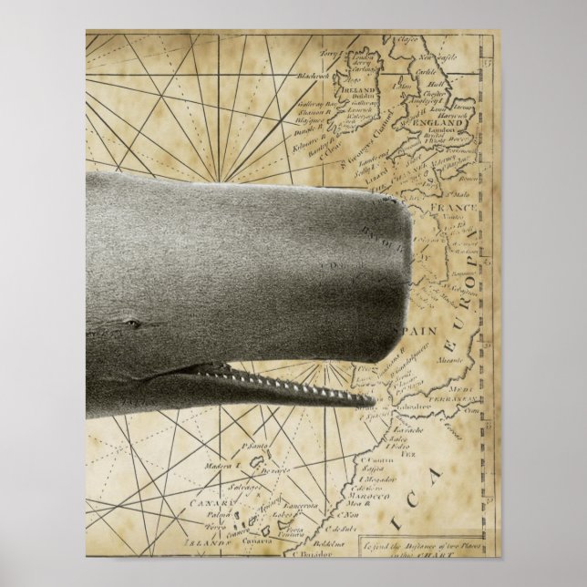 Sperm Whale Vintage Nautical Map Part3 Poster (Front)