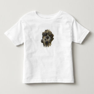 Spessartite in Matrix Toddler T-Shirt