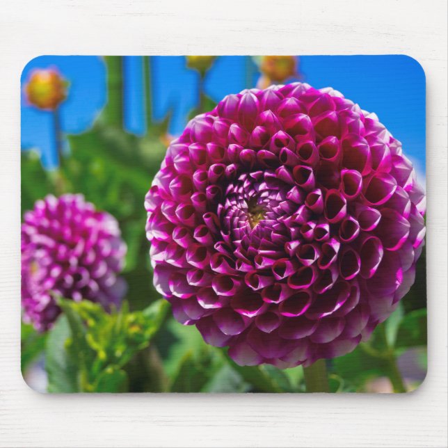 Spherical Mouse Mat (Front)