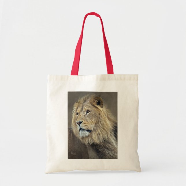 Sphinx Bag (Front)