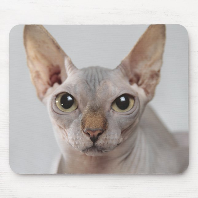 Sphinx cat pet cute hairless face funny mouse mat (Front)