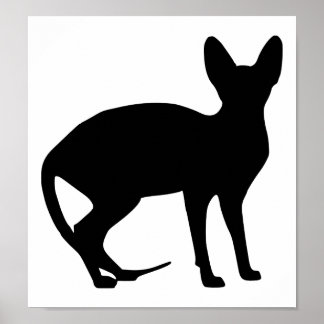 Sphinx cat poster
