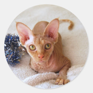 Sphinx Cat With Tinsel Sticker