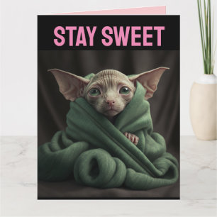 SPHINX CUTE HAIRLESS CAT BIG VALENTINE'S DAY CARD