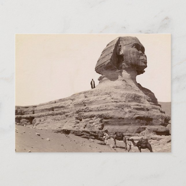 Sphinx Egypt Postcard (Front)