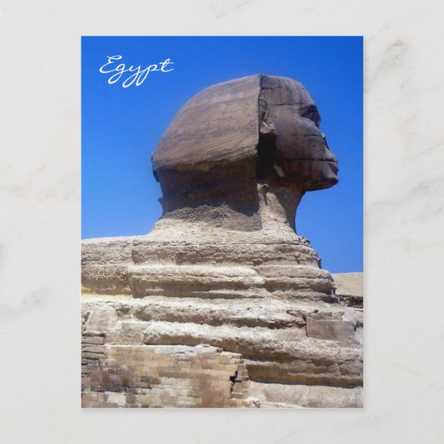 sphinx egypt postcard (Front)