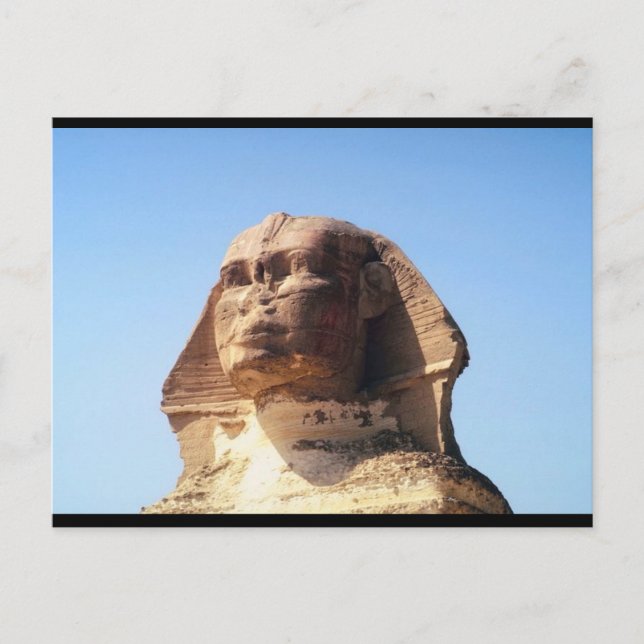 Sphinx Head Postcard (Front)